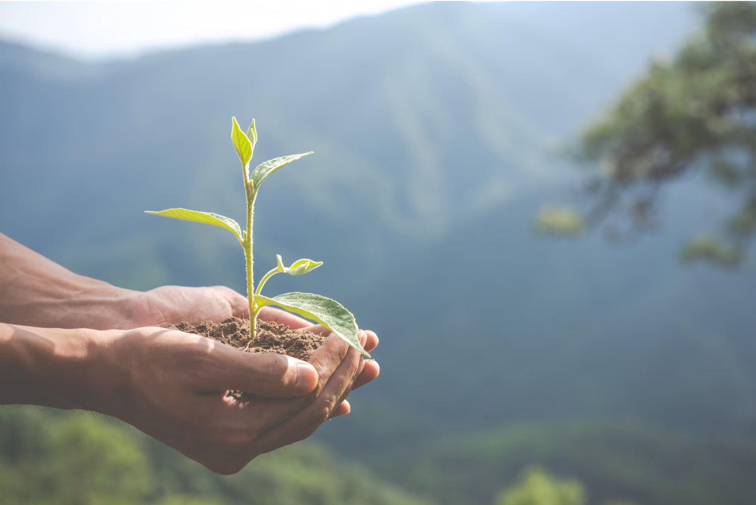 Environmental-protection-research